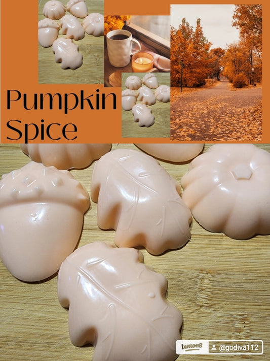 Pumpkin Spice Bar Soap